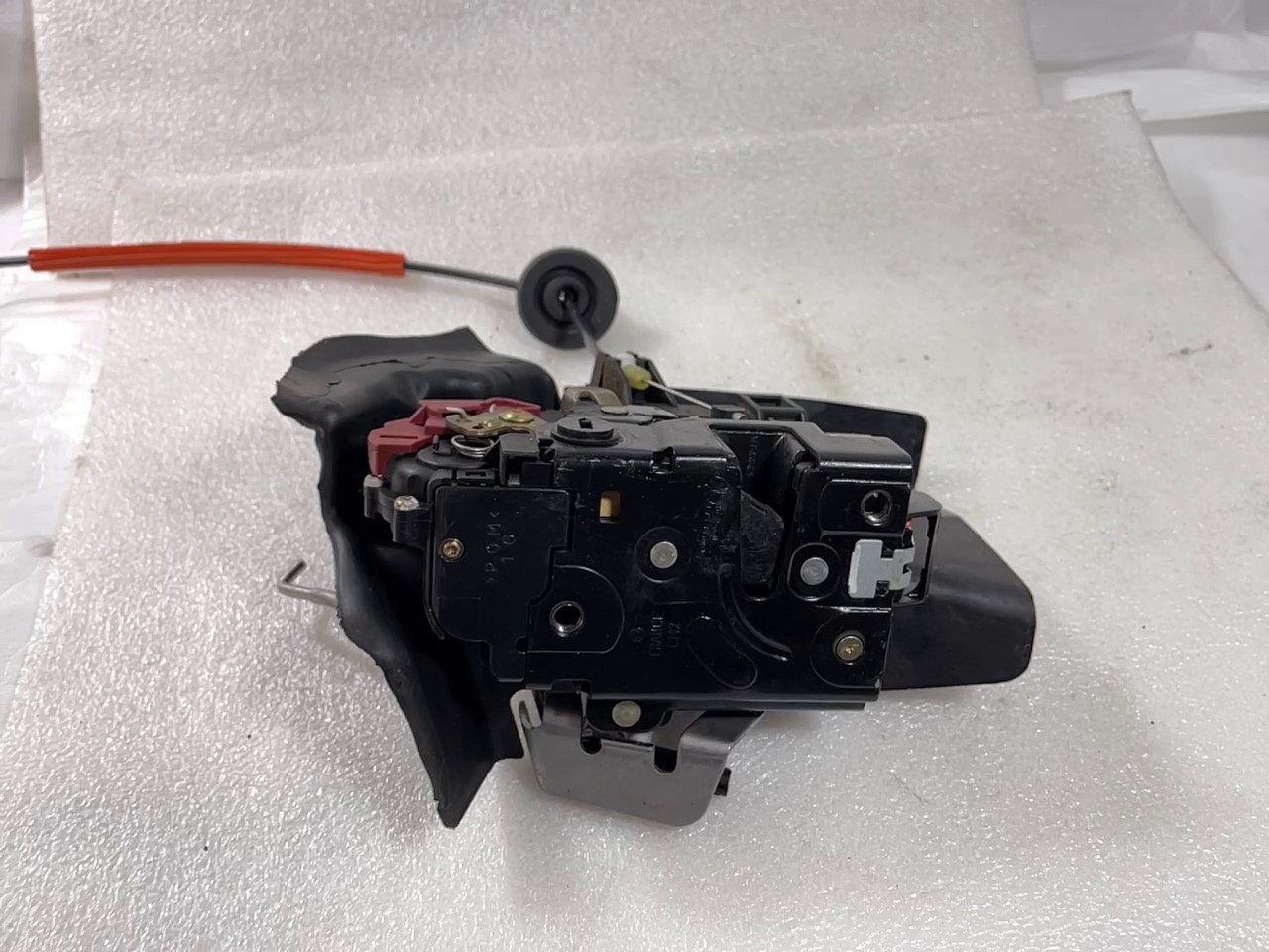 2022-05-19 155652.jpg